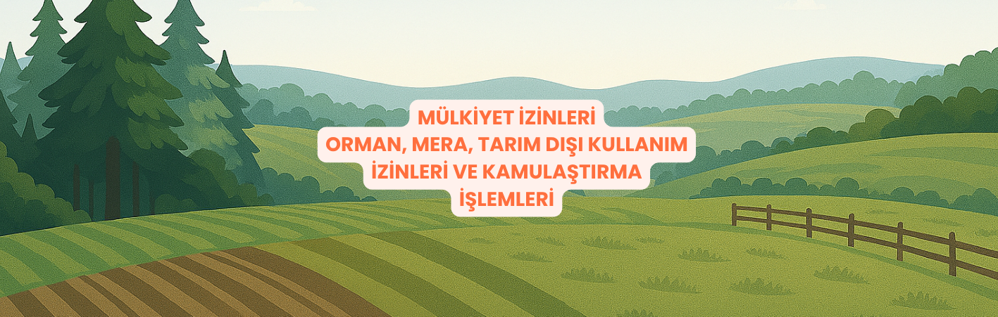 Slide 7