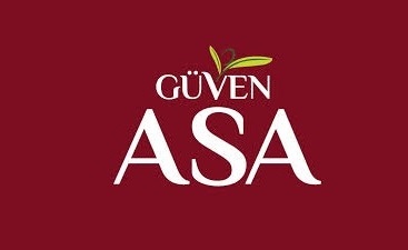 Logo 13